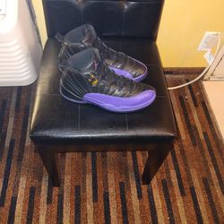 Air Jordan 12 Retro Feild Purple
