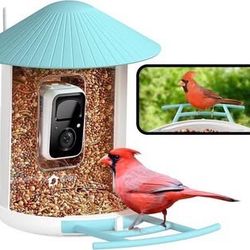 New Birdfy Smart Bird Feeder Camera Auto Record and Save Bird Videos Clear Night Vision Wireless
