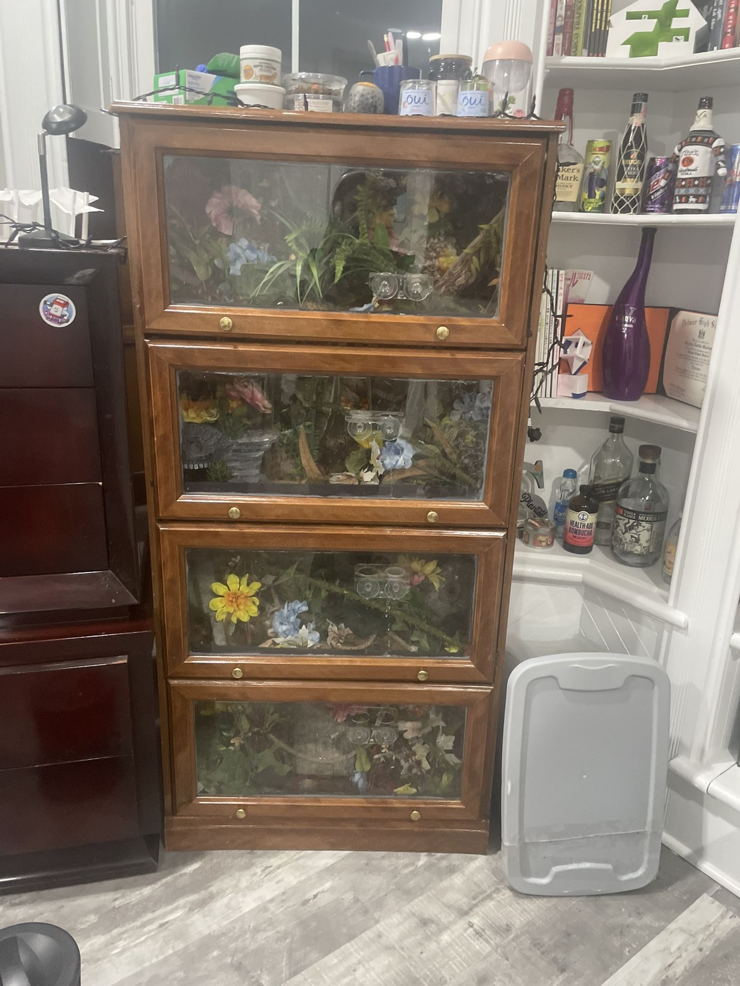 reptile/gecko enclosure