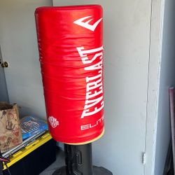 Everlast Elite Punching Bag