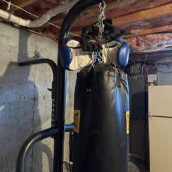 Everlast Punching Bag And Stand