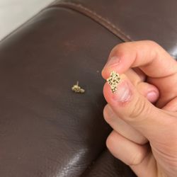 Gold Nugget Earrings 