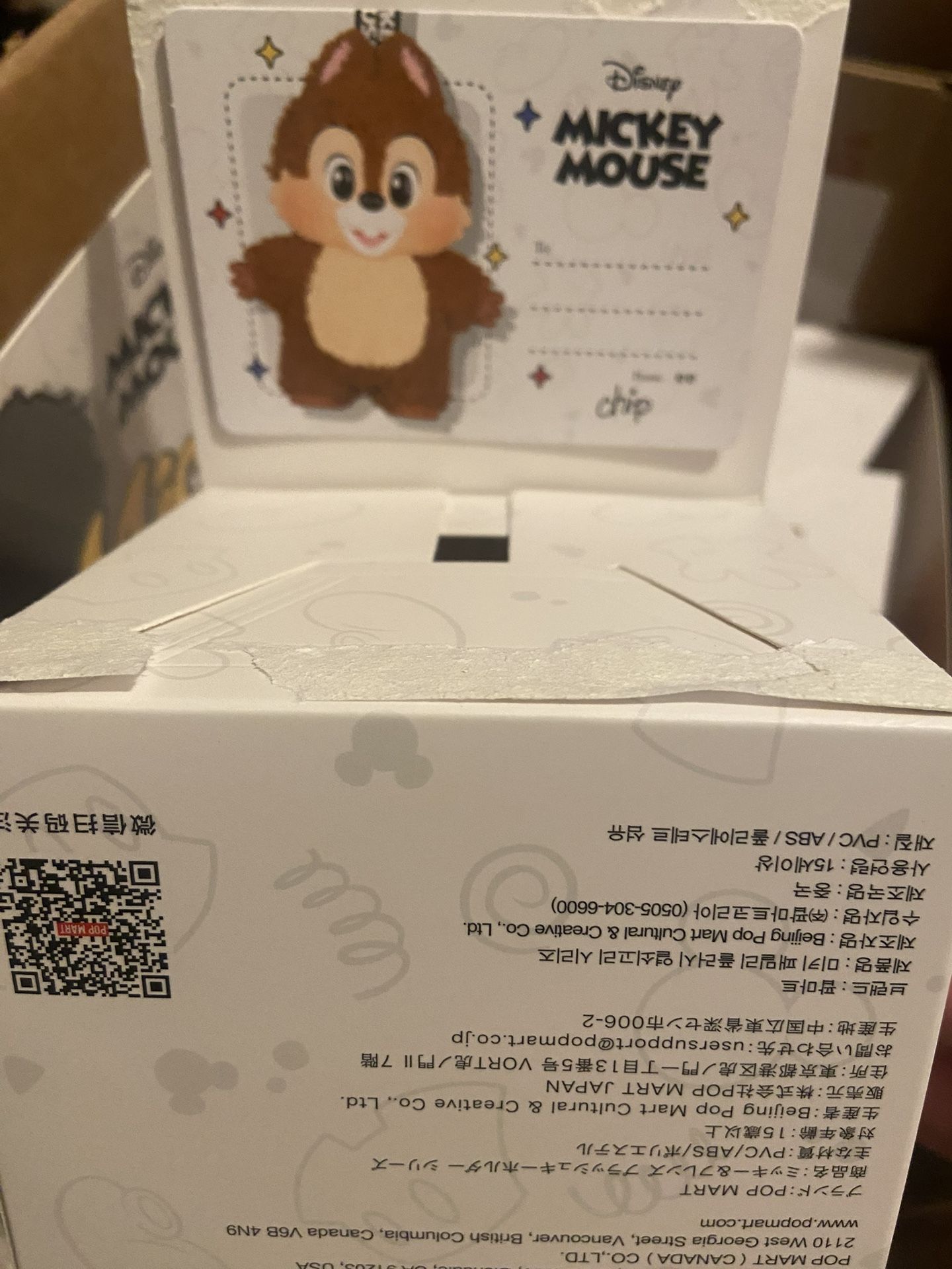 Mickey Family (CHIP)