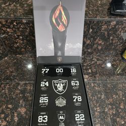 2021 Las Vegas Raiders season ticket holder box