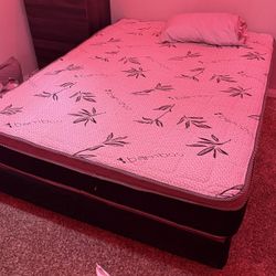 Full Size Bed with box
