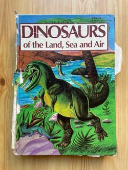 Two interesting Dino Books for preschoolers