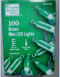 Home Accents Holoday 100 Warm White Mini LED Lights