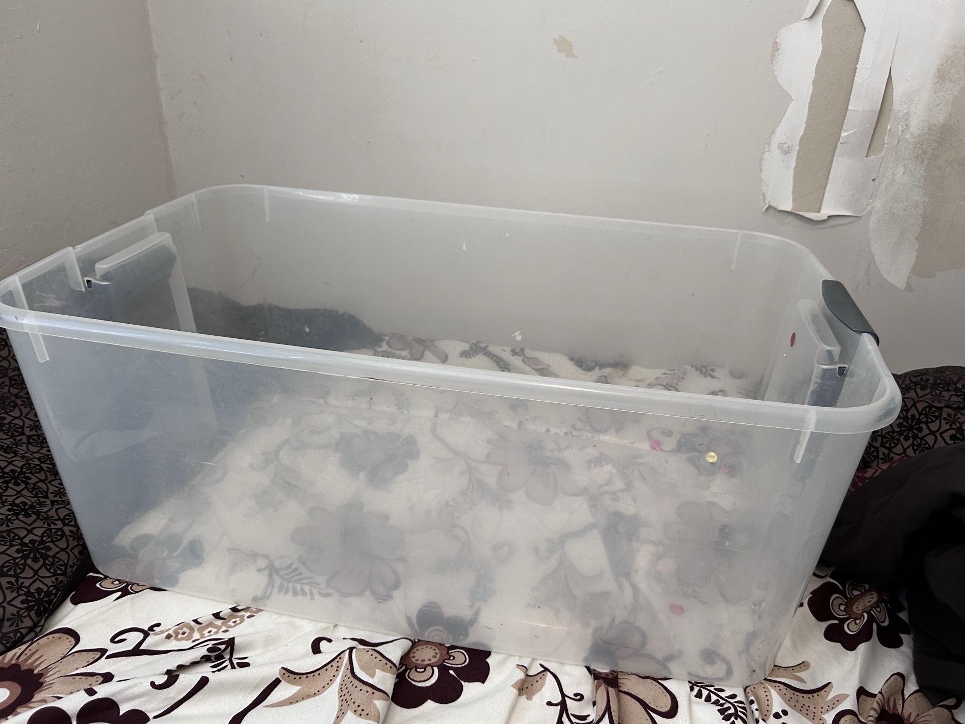 Storage bins