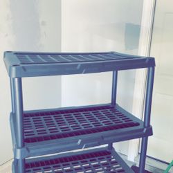Shelves 