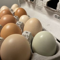 Farm Fresh Eggs