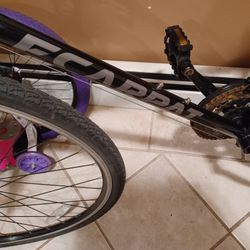 Ecarpat Bike