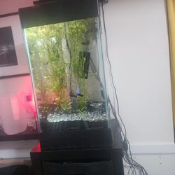 Aquarium 15 Gallon With FISH!