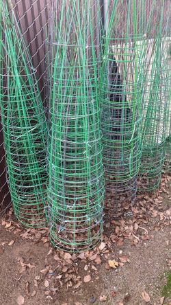 Tomato Cages