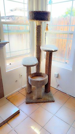 Cat tower brand new my cats dont use it and its just sitting their