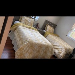 Two twin beds with mattresses/2 Camas Individuales Con Colchon 