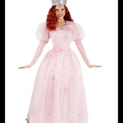 The Wizard of Oz Movie Good Witch Glinda Deluxe Women's MediumCostume Pink Dress 2 pc set. Dress and crown, pink dress with gold glitter design, new w