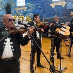 Violín arco de mariachi