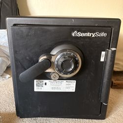 Sentry Safe model No. SFW123DTB