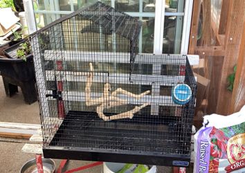 Bird cage