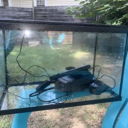 Fish Tank / Aquarium 