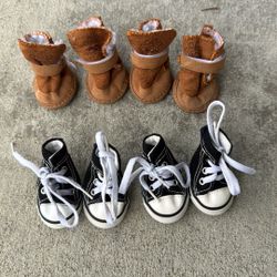 Small Dog Shoes