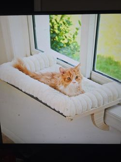 Valigogo clouds often cat windows sill Perch