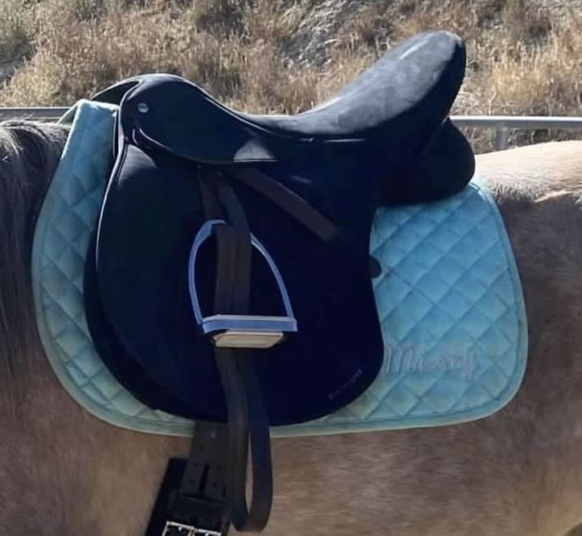 Wintec D’Lux AP Saddle 17.5