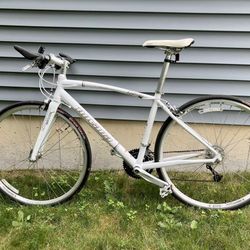 Novara Express Road Bicycle