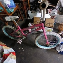 Girls Bike Pink Tires Aired Up Ready To Go 