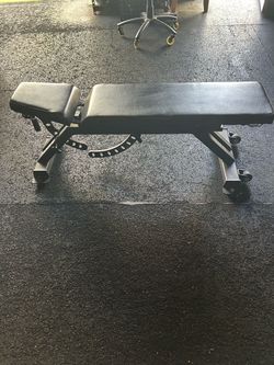 Rogue leg bench with curl bar