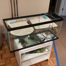 40 Gal Aquarium. 2 Aquaneat Lights And 2 Water Heaters 