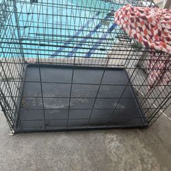 Dog Cage 