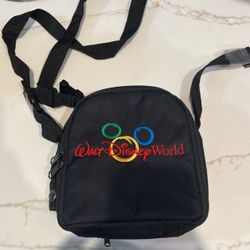 Disneyland Fannypack 