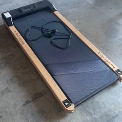 Portable Treadmill (I Can Deliver For A Fee)
