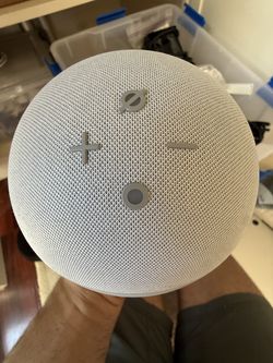 Amazon Echo 4th Gen — Glacier White + Adapter — $35