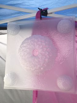 Molde de gelatina flores