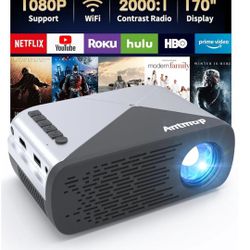 Projector-Antmap 