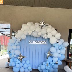 Balloon Garland And Backdrop 