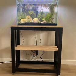 Waterbox Clear Mini 16 Aquarium Full Setup