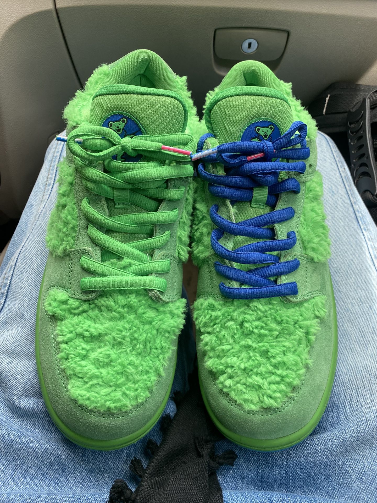 Nike Sb Dunks Low