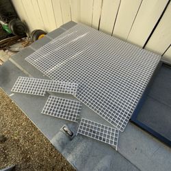 Aquatic Water Turtle Red Eared Slider