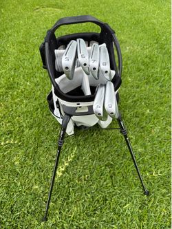 TaylorMade P 790 irons
