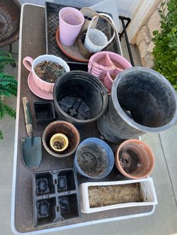 Plant pots $10 for all