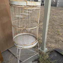 Tall Iron Bird Cage