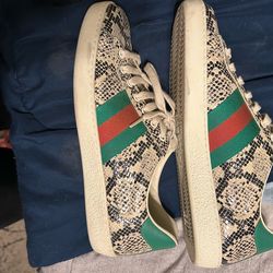 Gucci sneakers