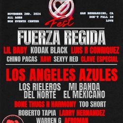 Dont Fall In Love Ticket 