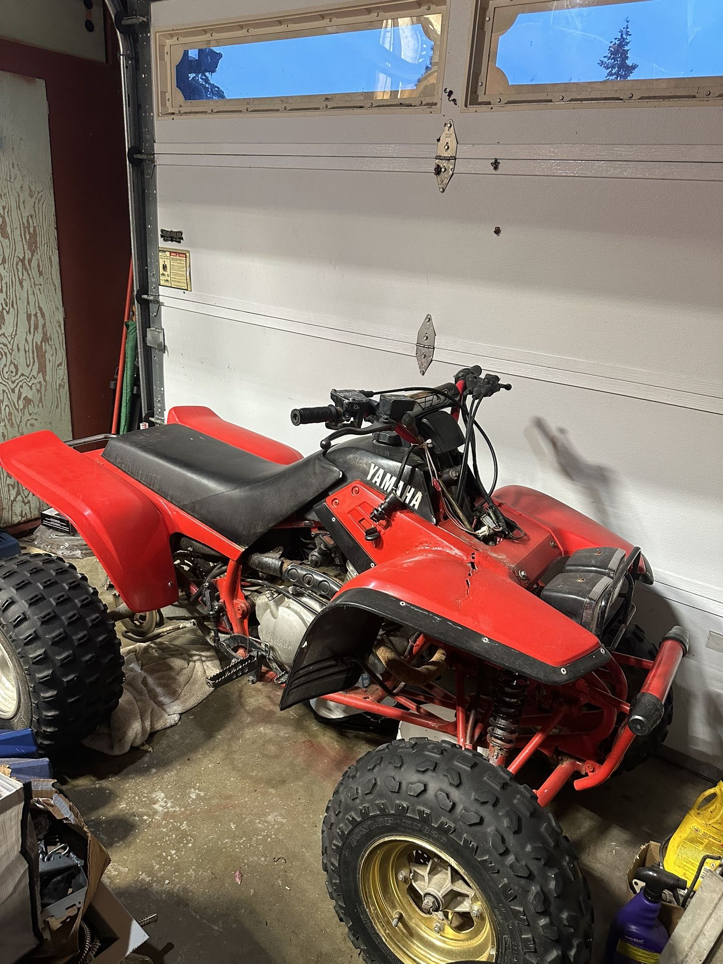 Yamaha Warrior