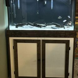 Aquarium (90gal)