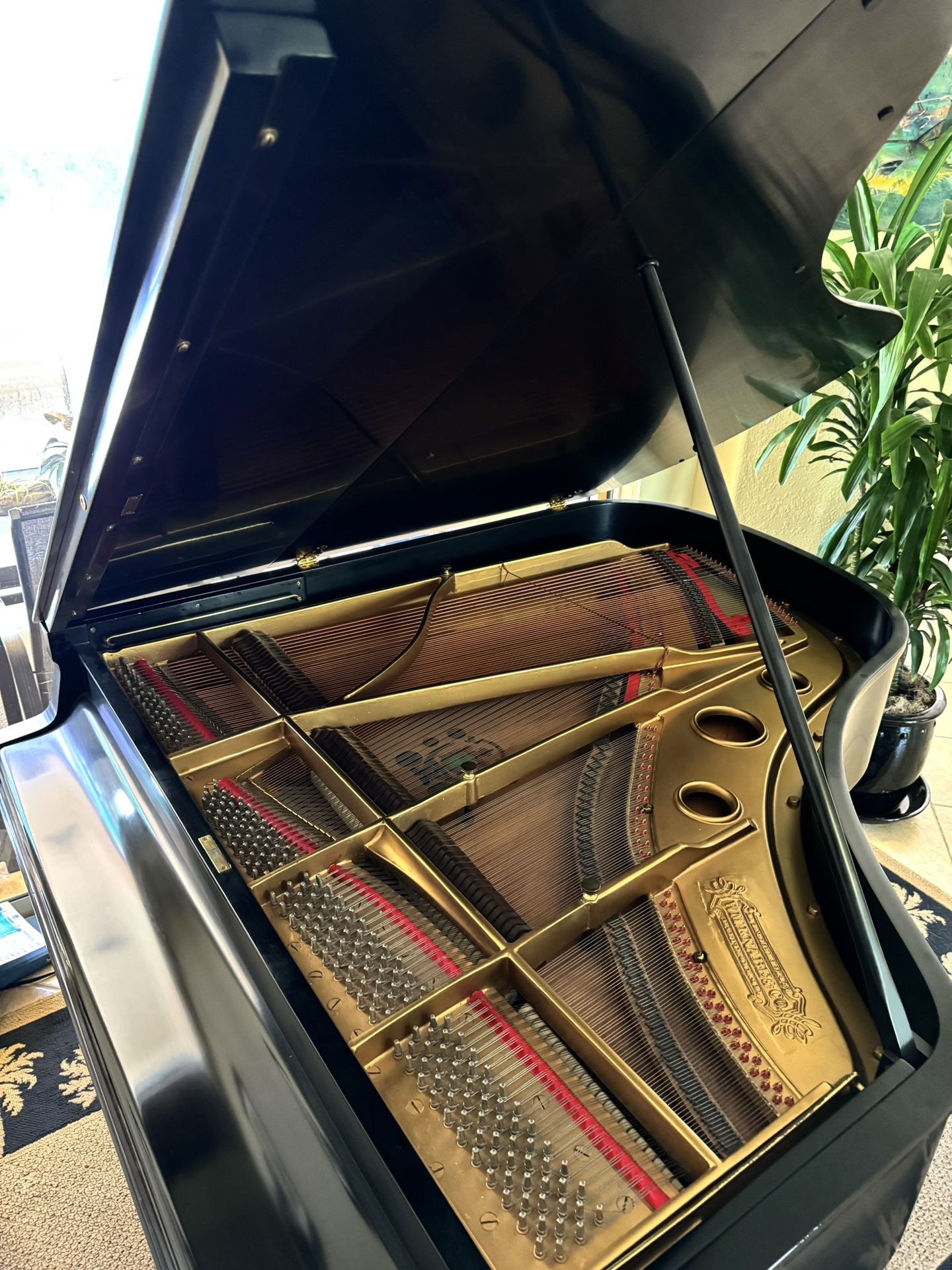 Knabe Baby Grand