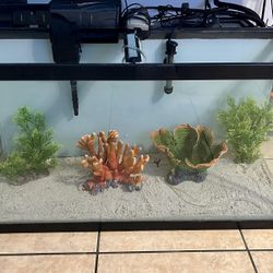 40 Gallon Fish Tank Aquarium With Extras $80 